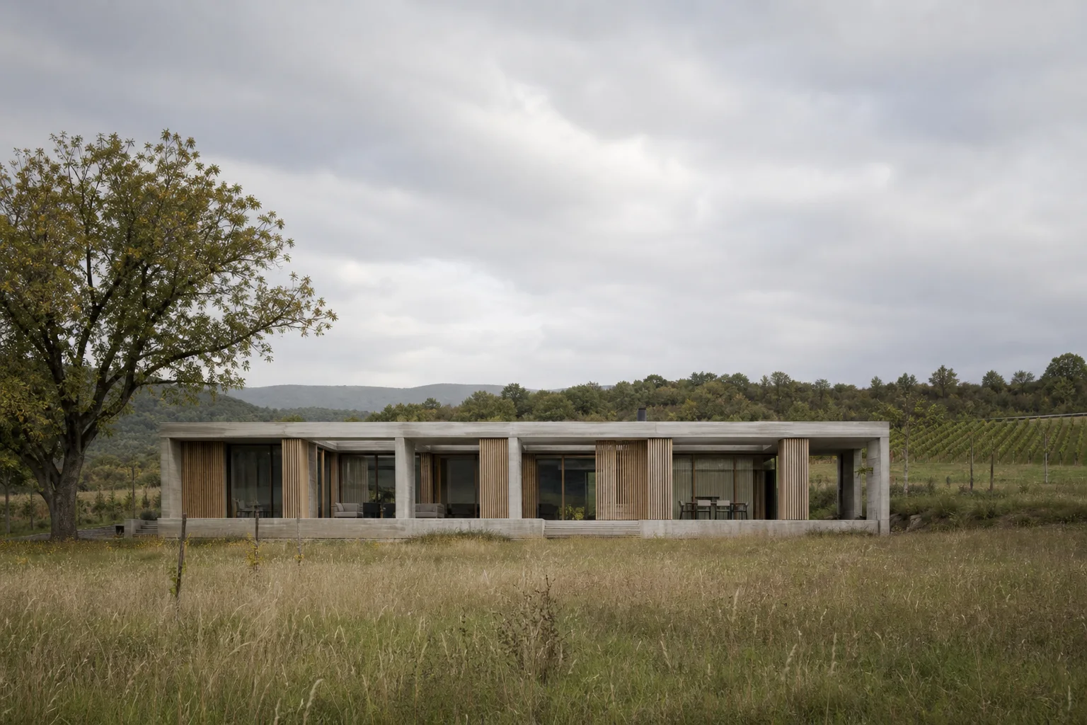 Vineyard house in the landscape